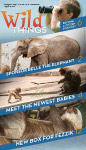 Wild Things Newsletter Cover