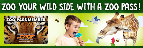 Zoo Your Wild Side with a Zoo Pass!
