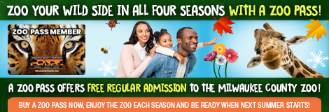 Zoo Your Wild Side in All Four Seasons with a Zoo Pass!