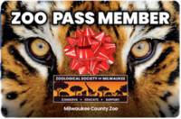Gift Zoo Pass