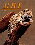 Alive Magazine: Fall 1989