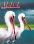 Alive Magazine: Spring 1991