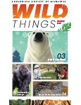 Wild Things Newsletter: November 2020