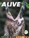 Alive Magazine: Winter 2021