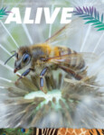 Alive Magazine: Spring 2022